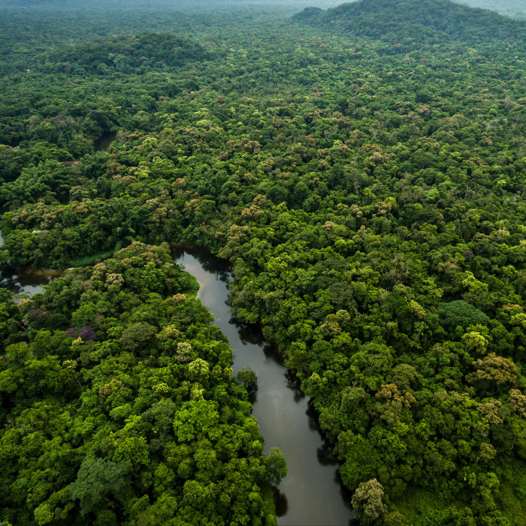 Floresta Amazônica Lendas E Mitos Turismo And Conhecimento 1047