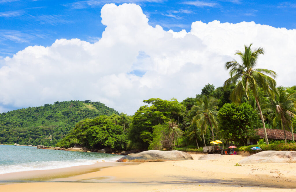 praias deslumbrante com coqueiros em sua volta, na cidade de Paraty-RJ