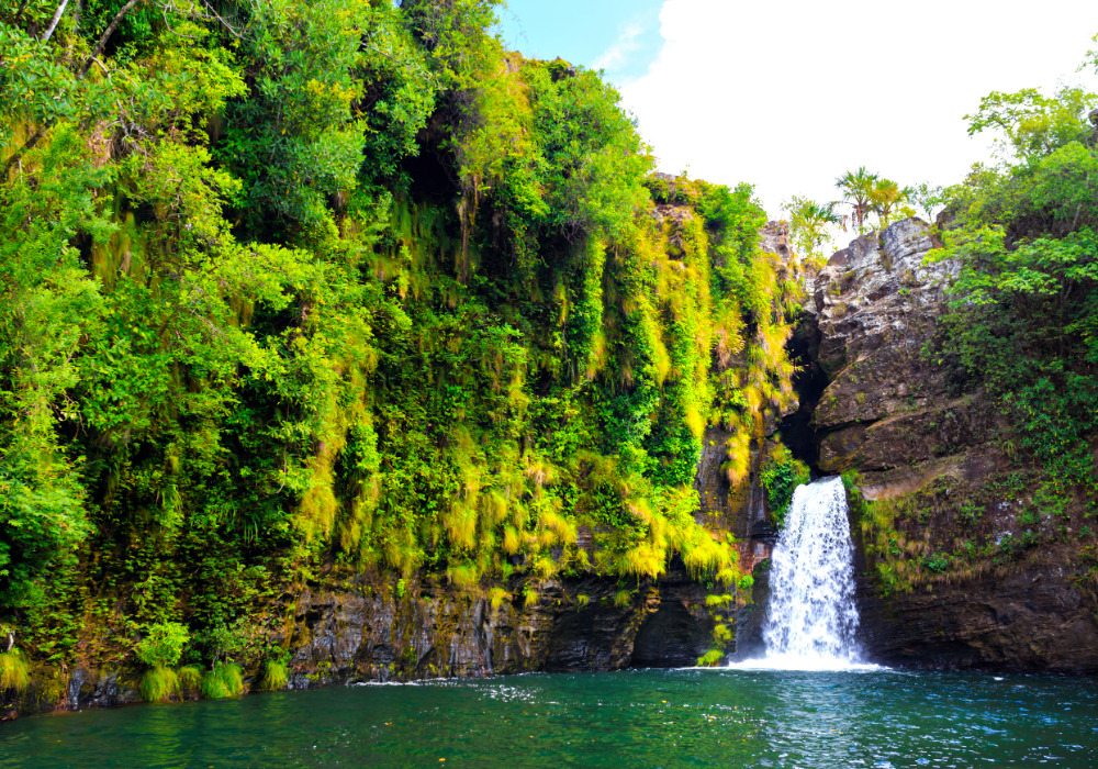 Cachoeira, com paredão de vegetação à esquerda e rio calmo na Chapada dos Veadeiros