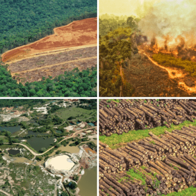 ameaças na amazônia, desmatamento, queimada, garimpo, queimada. tudo em uma só imagem